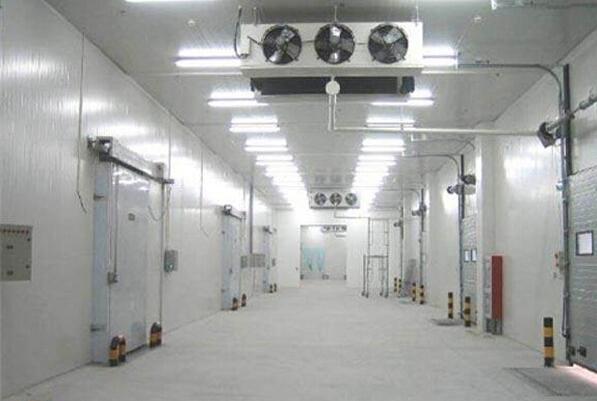 建一個(gè)冷庫(kù)多少錢