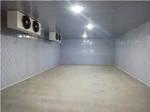 蔬菜保鮮庫(kù) 蔬菜保鮮庫(kù)