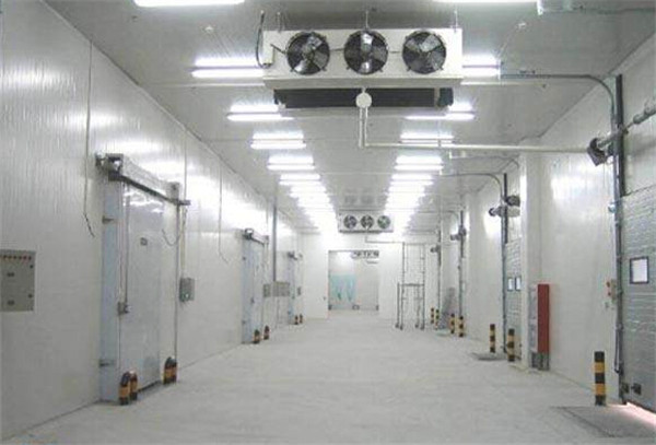 水果保鮮庫 水果保鮮庫